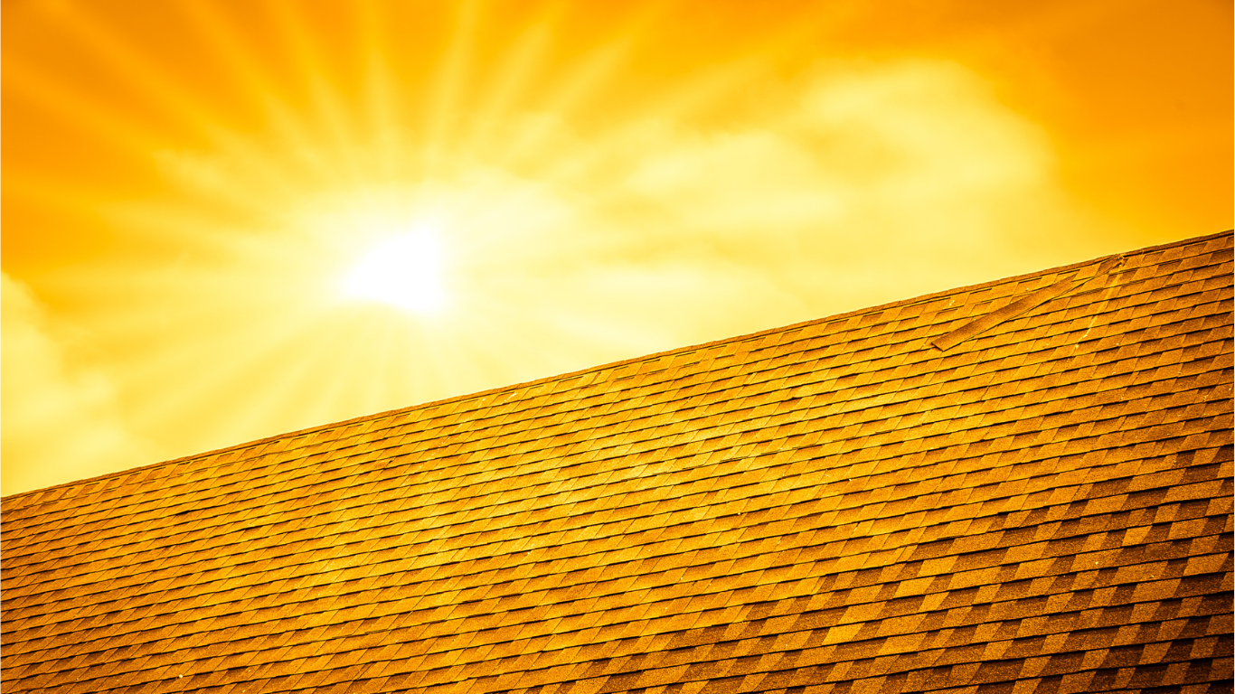 7 Summer Property Protection Tips from a West Kootenay Restoration Expert